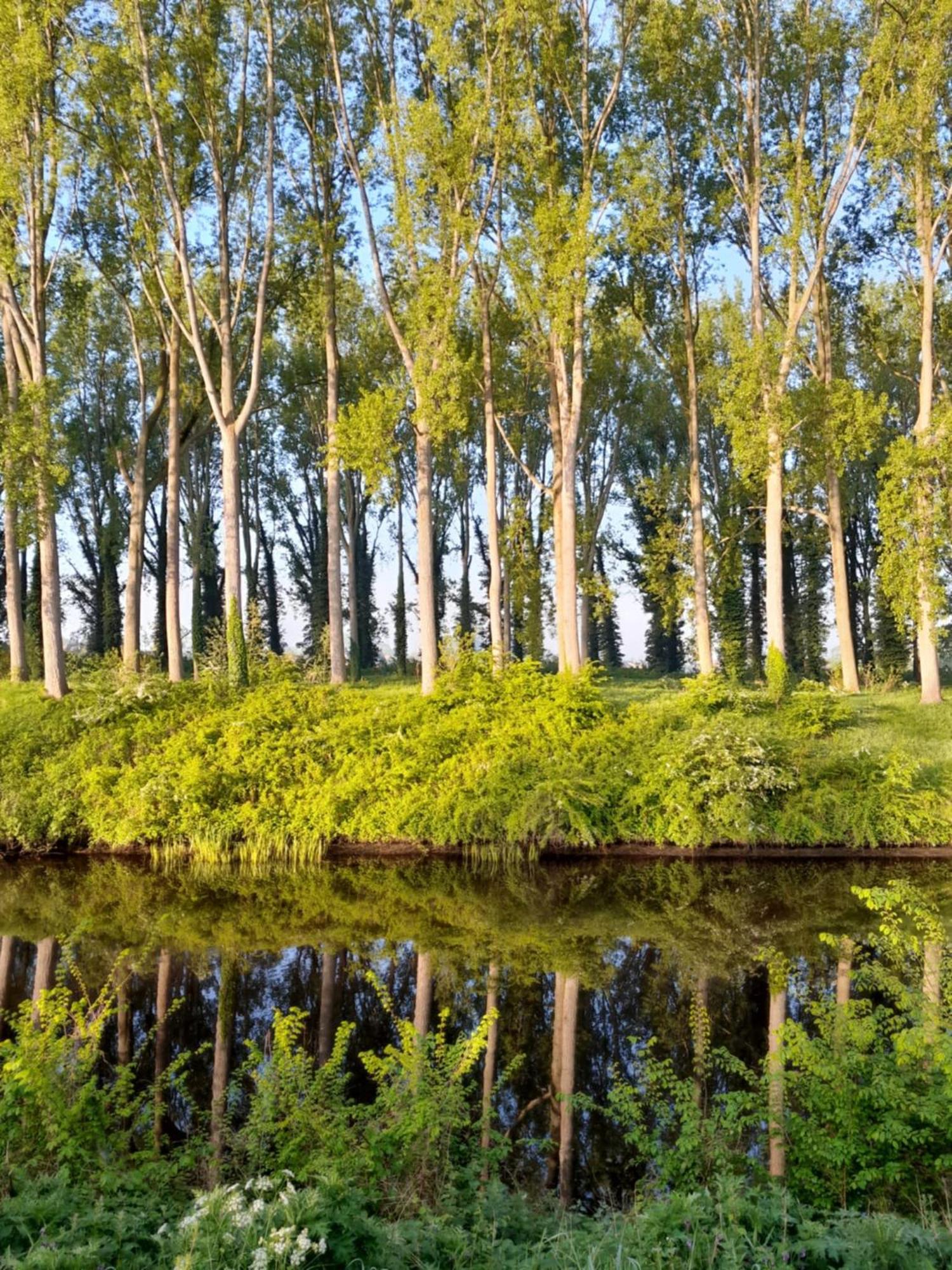 Vakantiehuis Schardauw Damme Εξωτερικό φωτογραφία